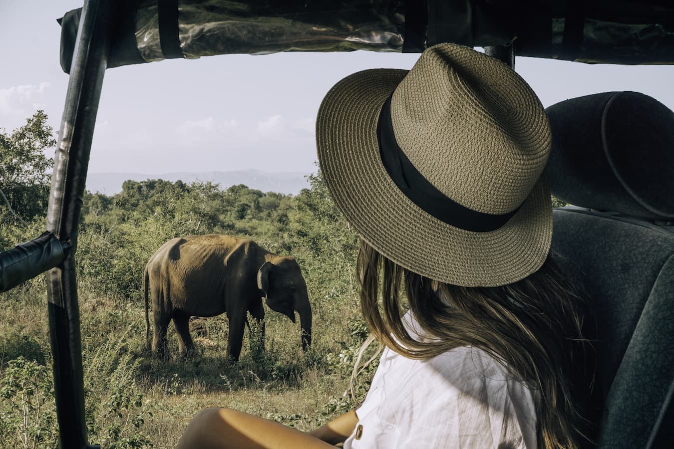Women watching an elephant in Yala