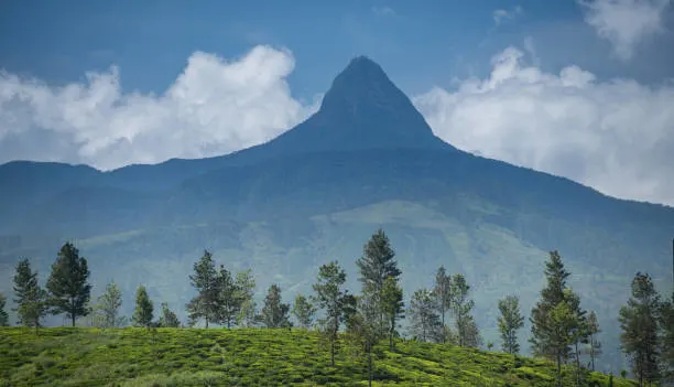 Sri Pada Peak / Samanala Kandha image 1