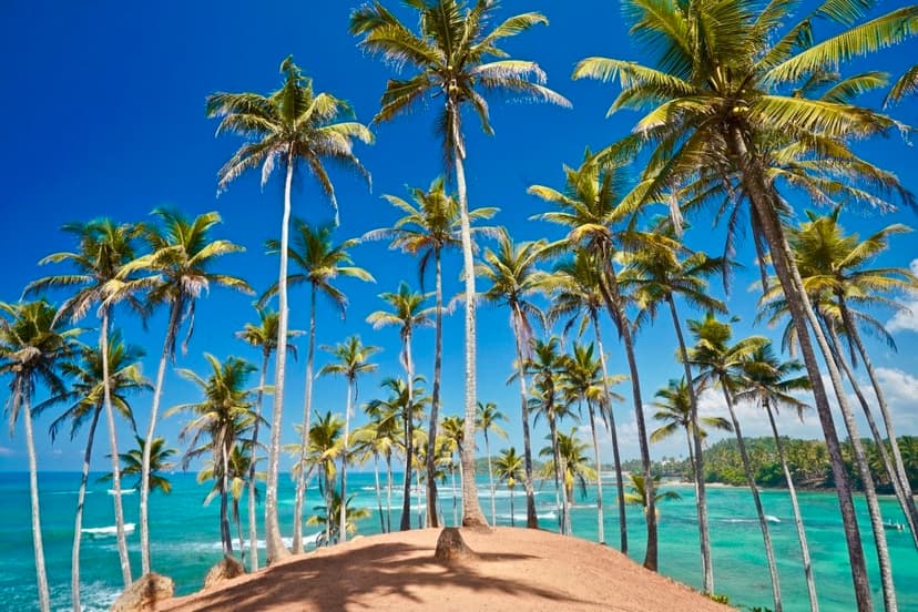 Mirissa Beach image 1