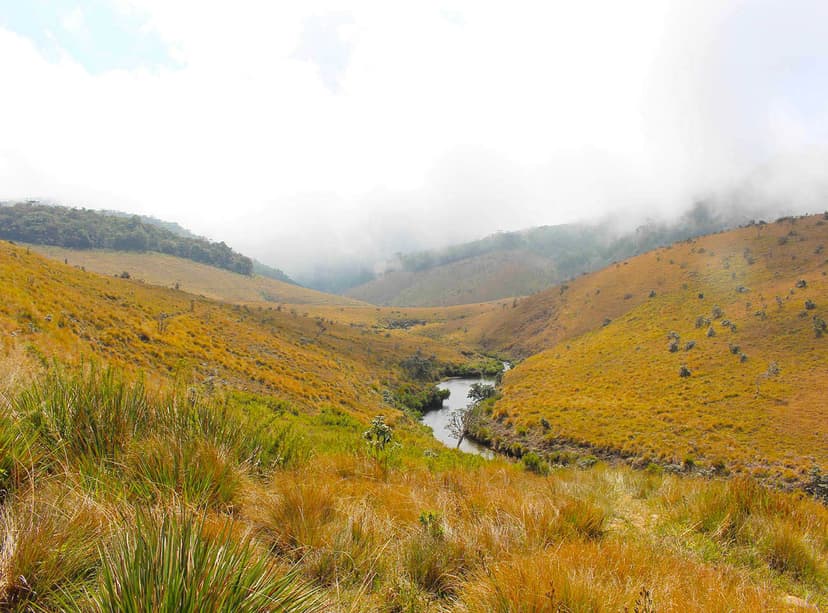 Horton Plains & World's End image 3