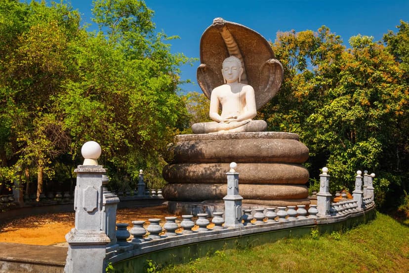 Pidurangala Rock image 3