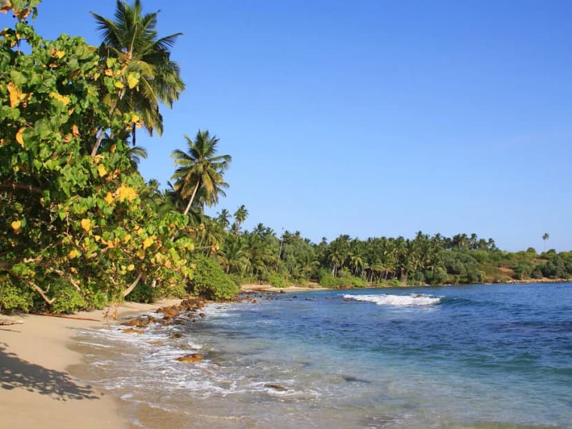 Hiriketiya Beach image 2